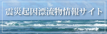 津波起因漂流物情報