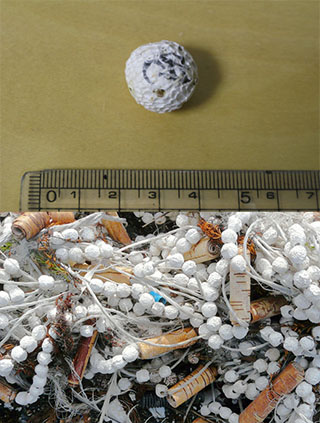 写真：直径2cmの発泡スチロール製小型球体