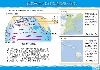 北太平洋における漂流物の流れ