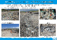 カミロポイントはプラスチック破片の海岸