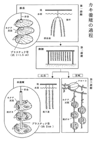 解説図：牡蠣養殖用パイプ