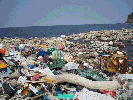 Photo:Large quantities of garbage flow to a specific area repeatedly1
