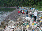 写真：特定の地域に、繰り返し大量に漂着3